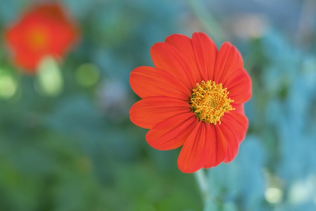 中国足协杯 中国足协杯