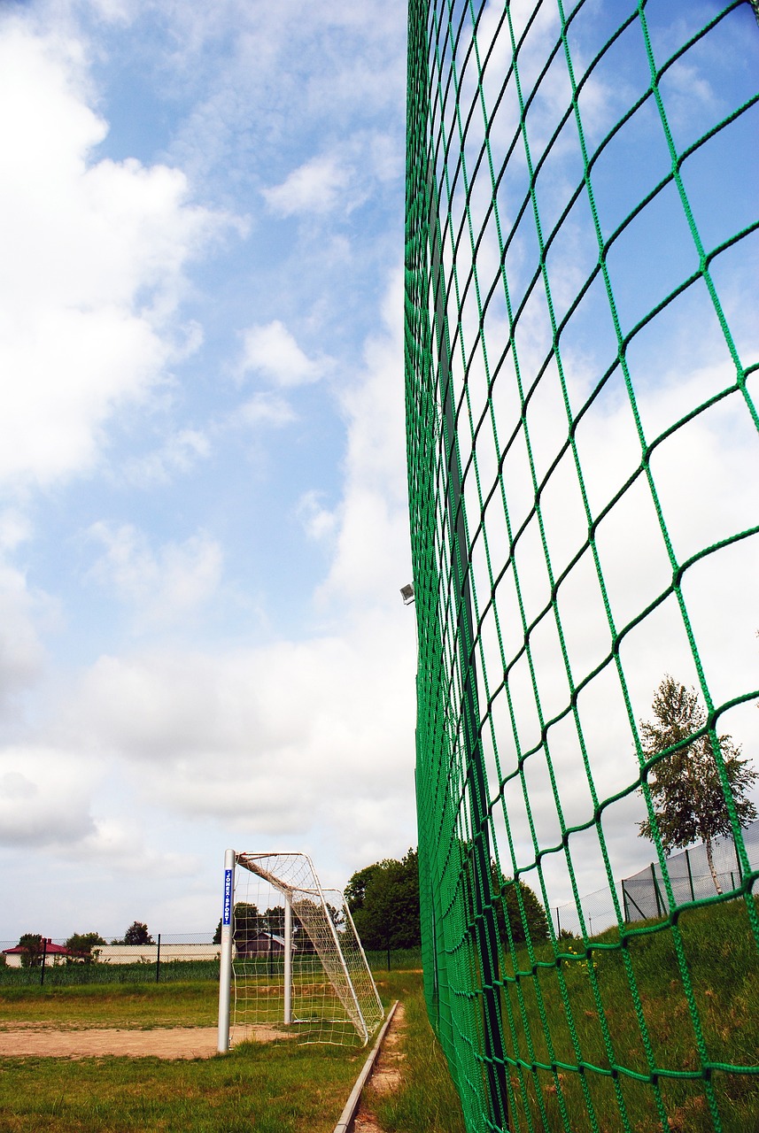 箭年轻球员 箭年轻球员