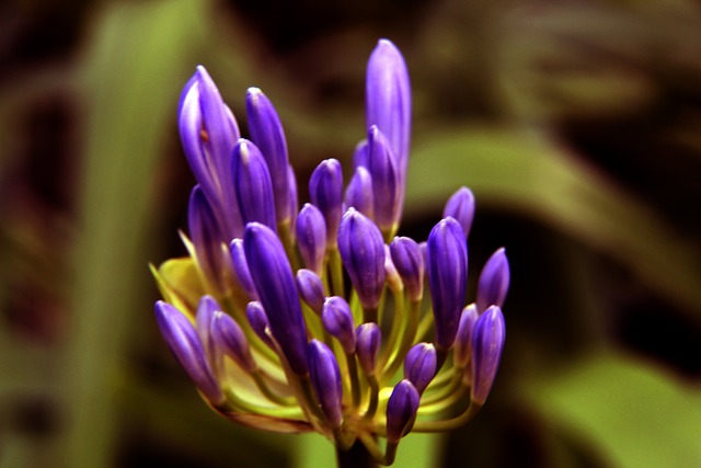 他的身体状 他的身体状