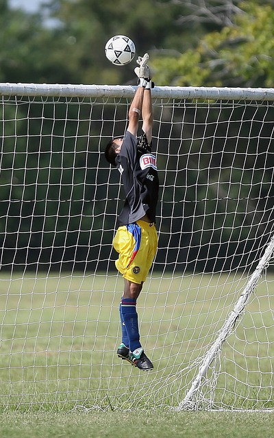 城青训系统 城青训系统