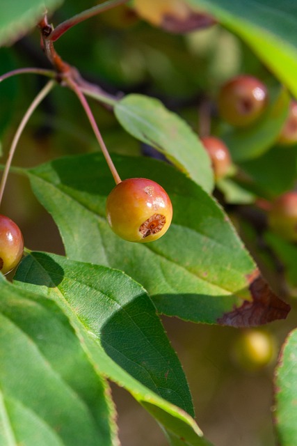能听进去 能听进去